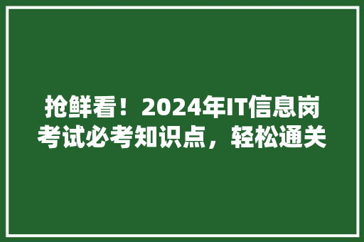抢鲜看！2024年IT信息岗考试必考知识点，轻松通关攻略来袭！ 神马SEO