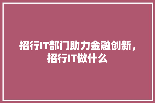 招行IT部门助力金融创新，招行IT做什么 神马SEO