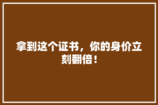 拿到这个证书，你的身价立刻翻倍！ 神马SEO