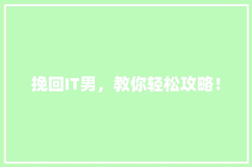 挽回IT男，教你轻松攻略！ SEO关键词