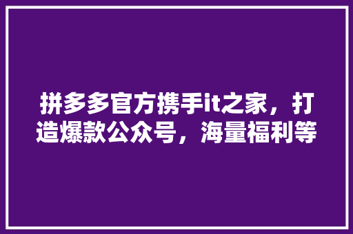 拼多多官方携手it之家，打造爆款公众号，海量福利等你来抢！ SEO关键词