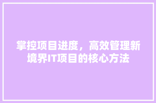 掌控项目进度，高效管理新境界IT项目的核心方法 百度SEO