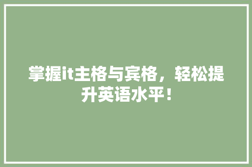 掌握it主格与宾格，轻松提升英语水平！ 必应SEO