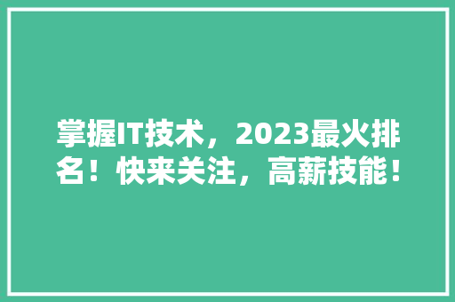 掌握IT技术，2023最火排名！快来关注，高薪技能！ SEO关键词