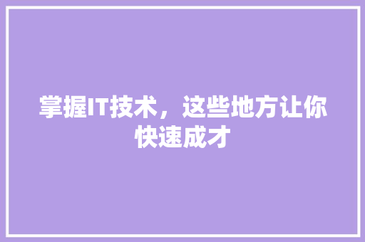 掌握IT技术，这些地方让你快速成才 必应SEO