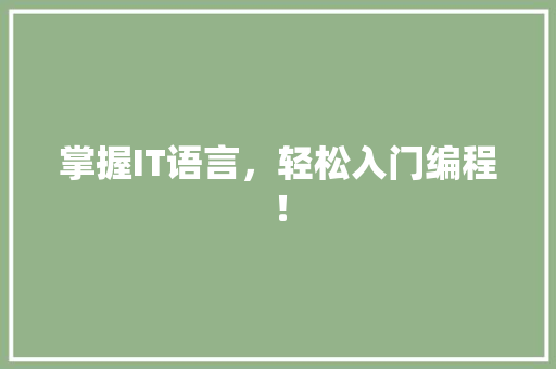 掌握IT语言，轻松入门编程！ 神马SEO