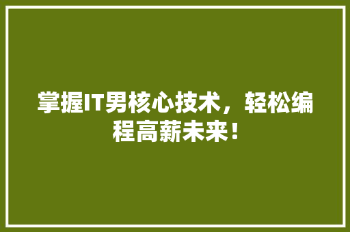 掌握IT男核心技术，轻松编程高薪未来！ 网站建设公司