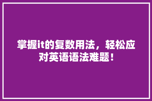 掌握it的复数用法，轻松应对英语语法难题！ 网站建设公司