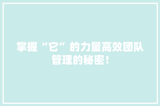 掌握“它”的力量高效团队管理的秘密！ 必应SEO