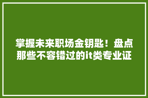 掌握未来职场金钥匙！盘点那些不容错过的it类专业证书 SEO关键词