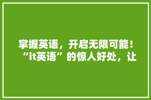 掌握英语，开启无限可能！“it英语”的惊人好处，让你轻松驾驭国际舞台！ 百度SEO