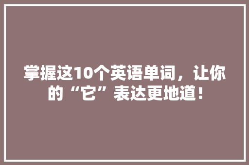 掌握这10个英语单词，让你的“它”表达更地道！ 神马SEO