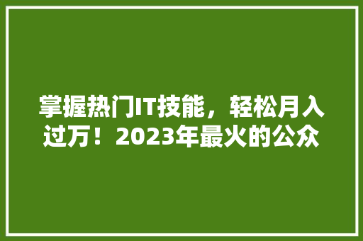 掌握热门IT技能，轻松月入过万！2023年最火的公众号爆款课程 必应SEO