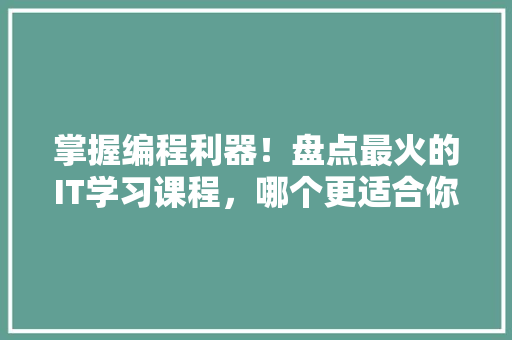 掌握编程利器！盘点最火的IT学习课程，哪个更适合你 必应SEO