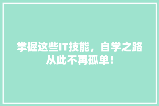 掌握这些IT技能，自学之路从此不再孤单！ 百度SEO