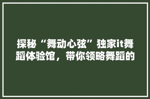 探秘“舞动心弦”独家it舞蹈体验馆，带你领略舞蹈的魅力！ 神马SEO