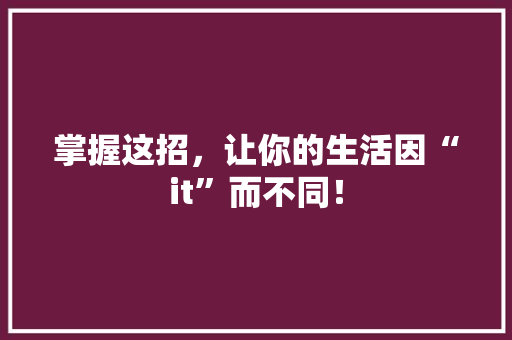 掌握这招，让你的生活因“it”而不同！ 网站建设公司