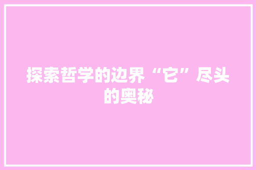 探索哲学的边界“它”尽头的奥秘 必应SEO