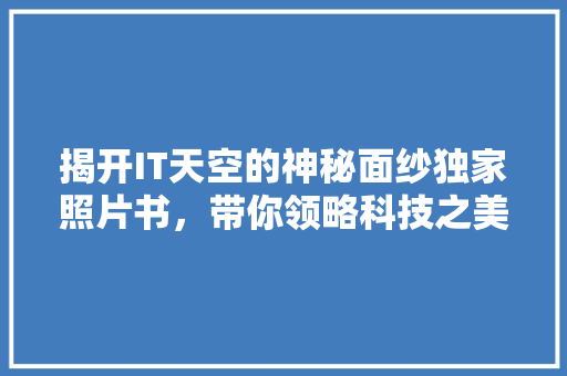揭开IT天空的神秘面纱独家照片书，带你领略科技之美 搜狗SEO