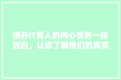 揭开IT男人的内心世界一段独白，让你了解他们的真实想法 必应SEO