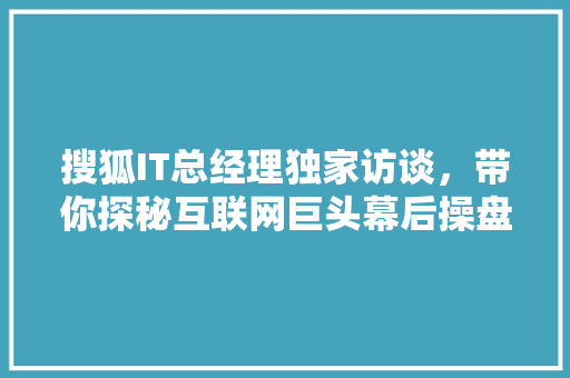 搜狐IT总经理独家访谈，带你探秘互联网巨头幕后操盘手！ 百度SEO