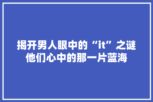 揭开男人眼中的“it”之谜他们心中的那一片蓝海 SEO关键词