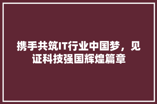 携手共筑IT行业中国梦，见证科技强国辉煌篇章 神马SEO