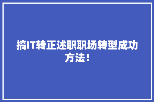 搞IT转正述职职场转型成功方法！ 必应SEO
