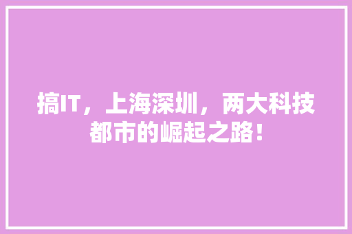 搞IT，上海深圳，两大科技都市的崛起之路！