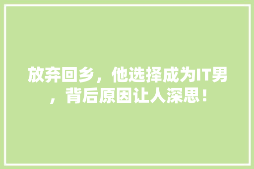 放弃回乡，他选择成为IT男，背后原因让人深思！ SEO关键词