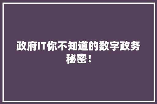 政府IT你不知道的数字政务秘密！ 搜狗SEO