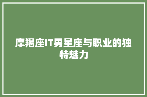 摩羯座IT男星座与职业的独特魅力 百度SEO