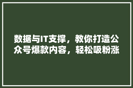 数据与IT支撑，教你打造公众号爆款内容，轻松吸粉涨粉 神马SEO