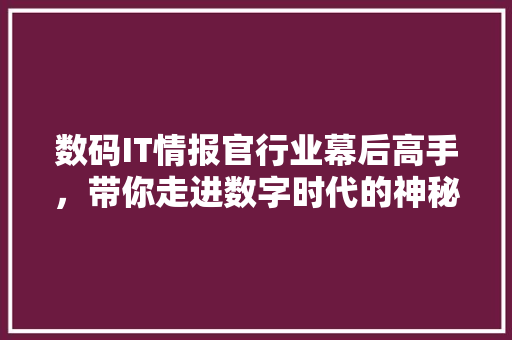 数码IT情报官行业幕后高手，带你走进数字时代的神秘世界 SEO关键词