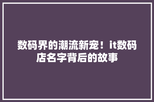 数码界的潮流新宠！it数码店名字背后的故事 神马SEO