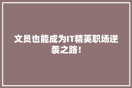 文员也能成为IT精英职场逆袭之路！ SEO关键词