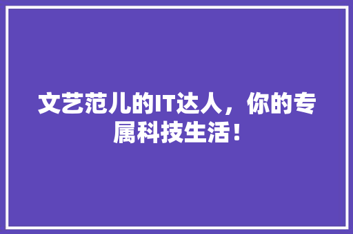 文艺范儿的IT达人，你的专属科技生活！ 必应SEO