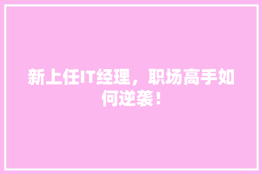 新上任IT经理，职场高手如何逆袭！ 必应SEO