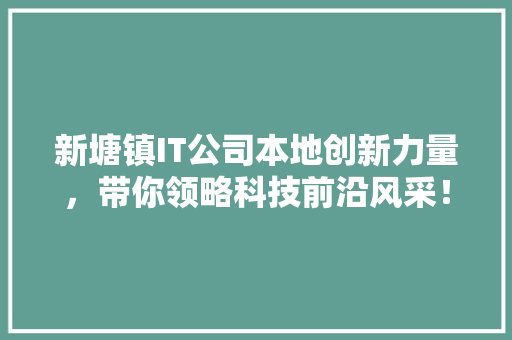新塘镇IT公司本地创新力量，带你领略科技前沿风采！ 网站建设公司