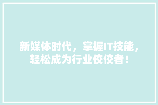新媒体时代，掌握IT技能，轻松成为行业佼佼者！ SEO关键词
