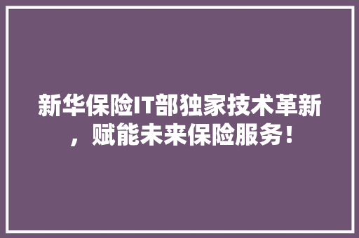 新华保险IT部独家技术革新，赋能未来保险服务！ SEO关键词