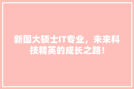 新国大硕士IT专业，未来科技精英的成长之路！ 搜狗SEO