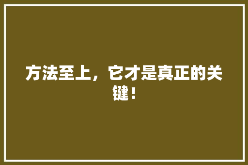 方法至上，它才是真正的关键！ SEO关键词