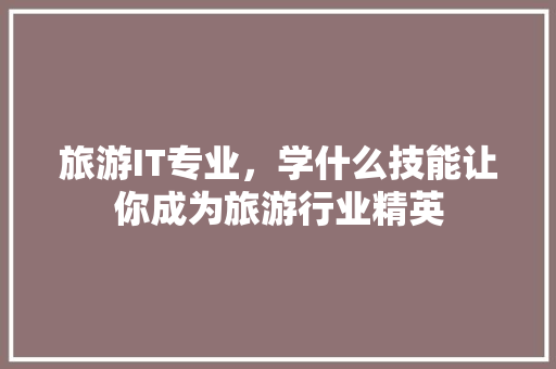 旅游IT专业，学什么技能让你成为旅游行业精英 必应SEO