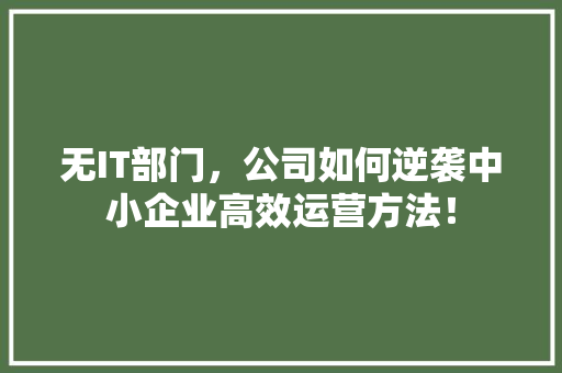 无IT部门，公司如何逆袭中小企业高效运营方法！ SEO关键词
