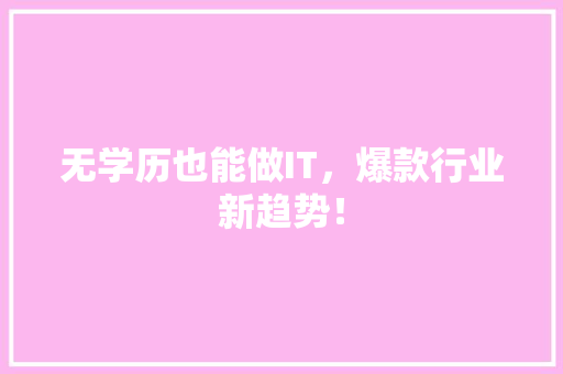 无学历也能做IT，爆款行业新趋势！ SEO关键词