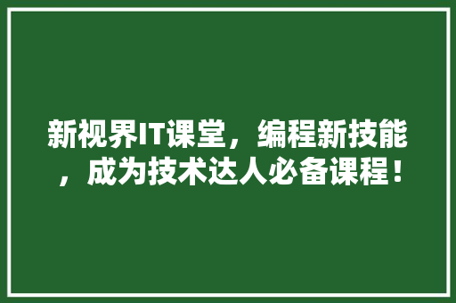 新视界IT课堂，编程新技能，成为技术达人必备课程！ SEO关键词