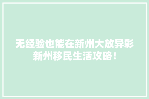 无经验也能在新州大放异彩新州移民生活攻略！ 必应SEO