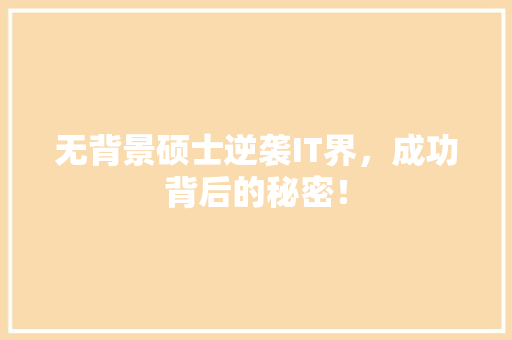 无背景硕士逆袭IT界，成功背后的秘密！ 必应SEO