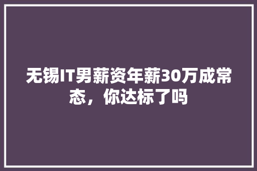 无锡IT男薪资年薪30万成常态，你达标了吗 百度SEO